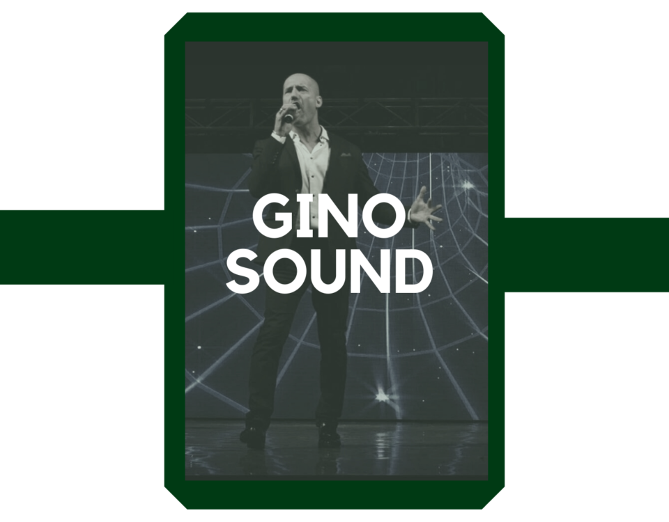 evento vineria del re musica dal vivo con gino sound